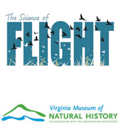 The Science of Flight exhibit is set to soar Saturday, January 22 at the Virginia Museum of Natural History