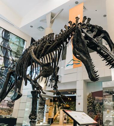 Dinosaurs to take over Virginia Museum of Natural History on July 22 & 23