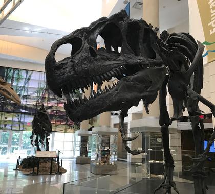 Virginia Museum of Natural History nominated for prestigious National Medal for Museum and Library Service