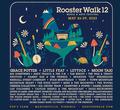 Grace Potter to headline Rooster Walk 12 Music & Arts Festival in Martinsville, Va.