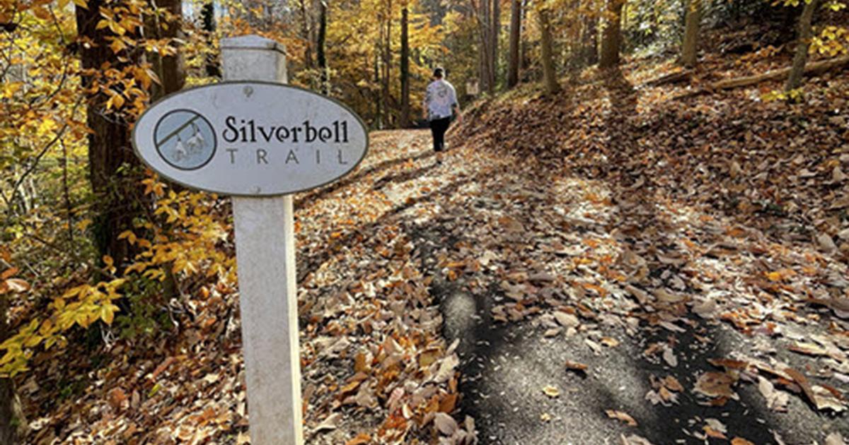 Silverbell Trail