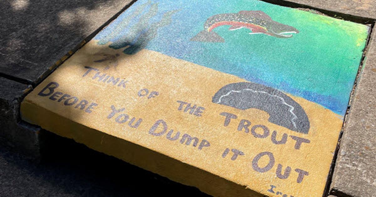 Think of the Trout Before You Dump It Out Storm Drain Mural